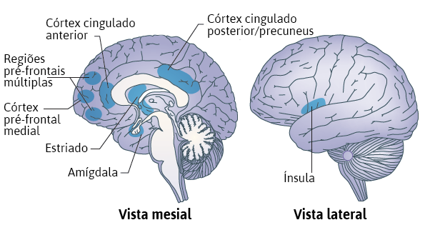 meditação mindfulness regiões cerebrais